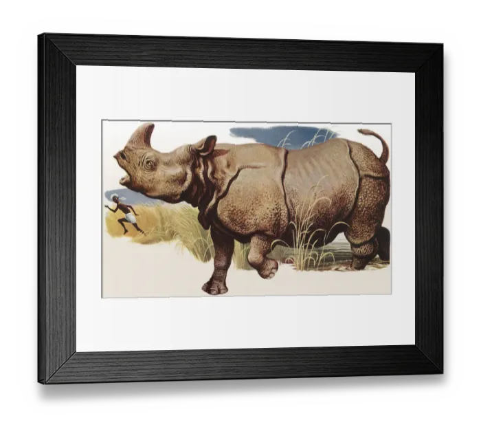 Framed Print : Rhino Chasing Native Date: 1950 Framed Print : Rhino Chasing Native Date: 1950