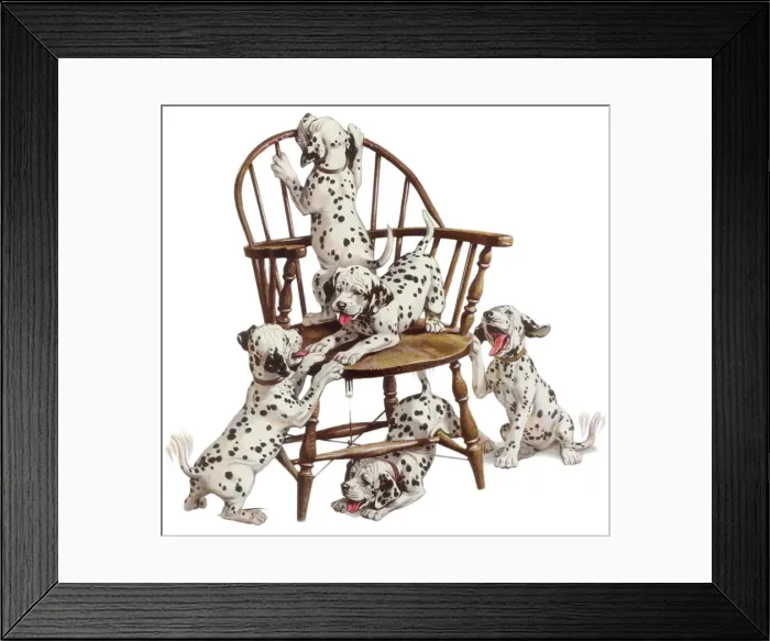 Framed Print : Playful Dalmatian Pups Date: 1950 Framed Print : Playful Dalmatian Pups Date: 1950