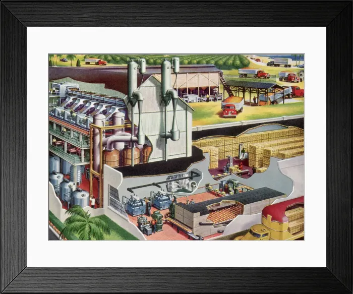 Framed Print : OJ Concentrate Plant Date: 1950 Framed Print : OJ Concentrate Plant Date: 1950