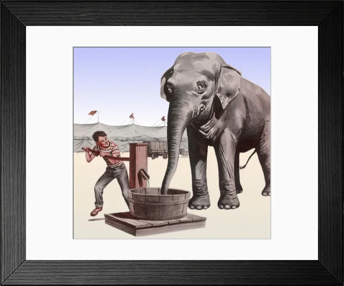 Framed Print : Pumping Elephants Water Date: 1950 Framed Print : Pumping Elephants Water Date: 1950