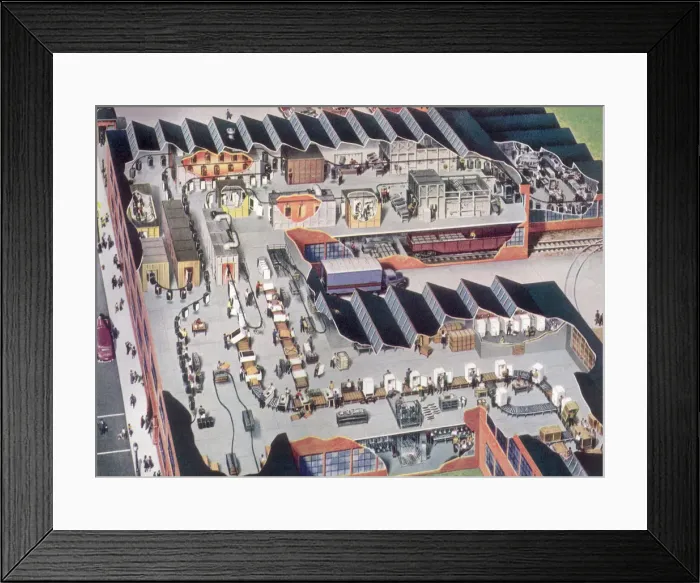 Framed Print : Refrigerator Plant Framed Print : Refrigerator Plant