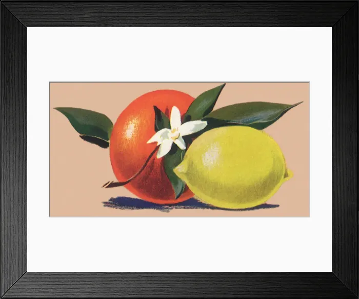 Framed Print : Orange and Lemon Framed Print : Orange and Lemon
