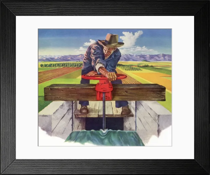 Framed Print : Farmer Irrigates Land Date: 1948 Framed Print : Farmer Irrigates Land Date: 1948
