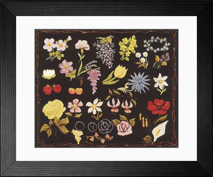 Framed Print : Piped Flower Samples Date: 1935 Framed Print : Piped Flower Samples Date: 1935