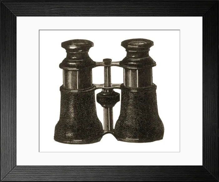 Framed Print : Opera Glasses Date: 1883