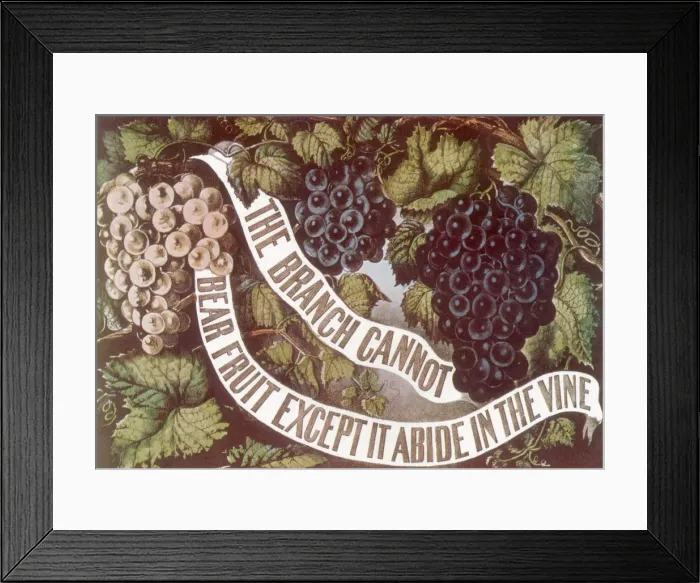 Framed Print : Grape Vines and Banner Date: 1872 Framed Print : Grape Vines and Banner Date: 1872