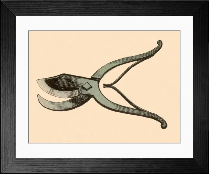 Framed Print : Pruning Shears Date: 1880 Framed Print : Pruning Shears Date: 1880