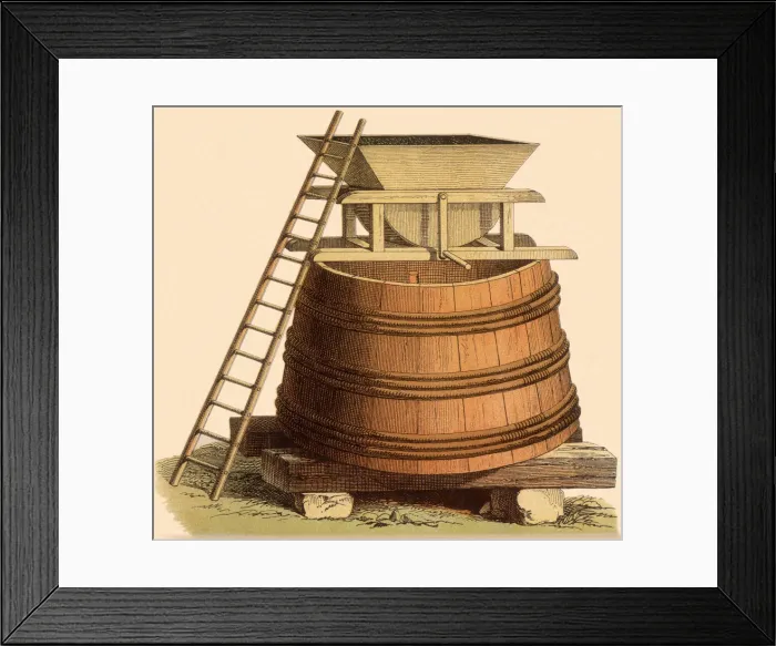 Framed Print : Winemaking Vat Date: 1880 Framed Print : Winemaking Vat Date: 1880