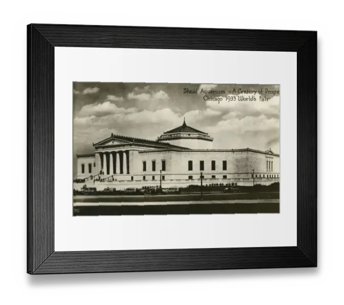 Framed Print : Shedd Aquarium - Chicago 1933 Worlds Fair Framed Print : Shedd Aquarium - Chicago 1933 Worlds Fair