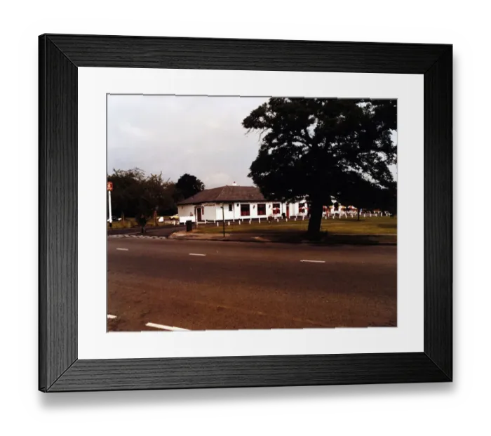 Framed Print : Photograph of Artichoke PH, Brentwood, Essex