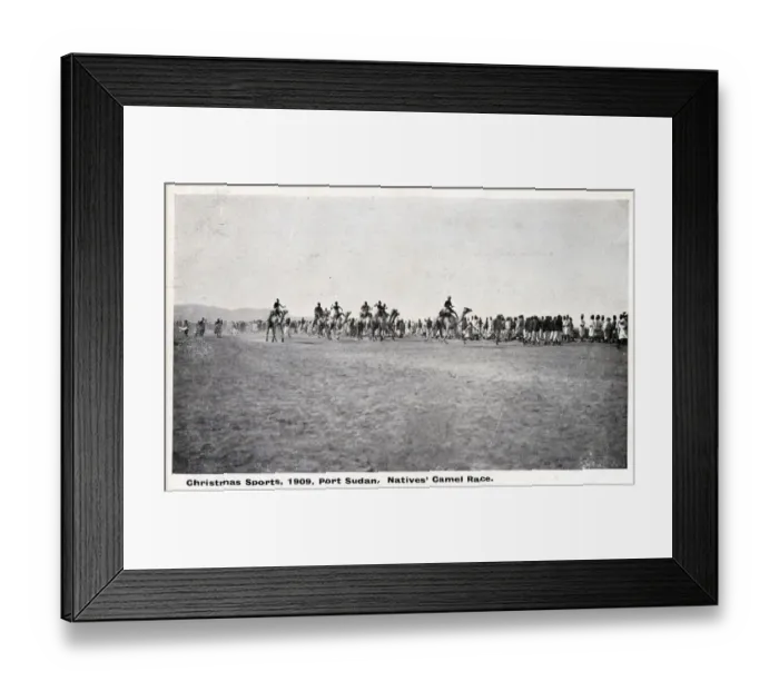 Framed Print : Camel Racing - Port Sudan, Sudan - Christmas Sports Framed Print : Camel Racing - Port Sudan, Sudan - Christmas Sports
