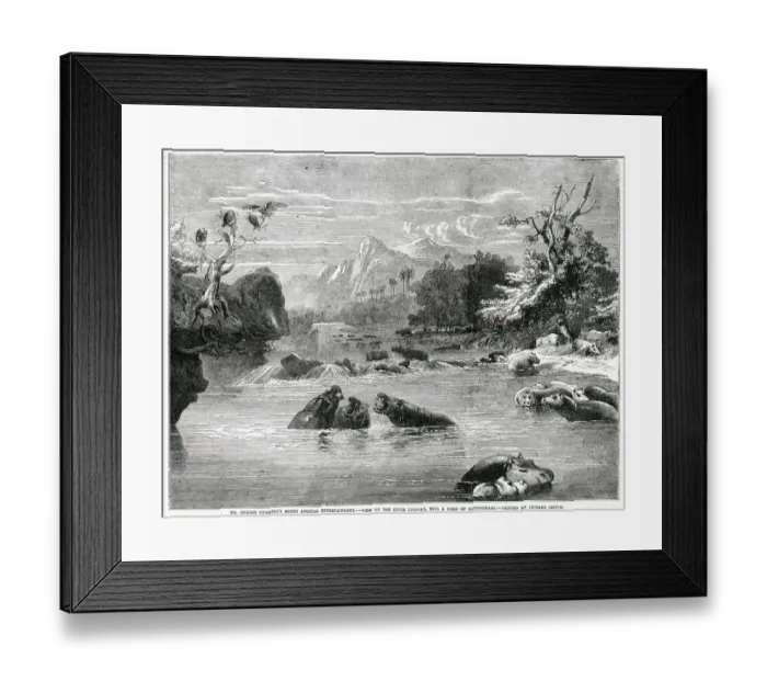 Framed Print : Limpopo River, Mozambique, south-east Africa Date: 1856 Framed Print : Limpopo River, Mozambique, south-east Africa Date: 1856