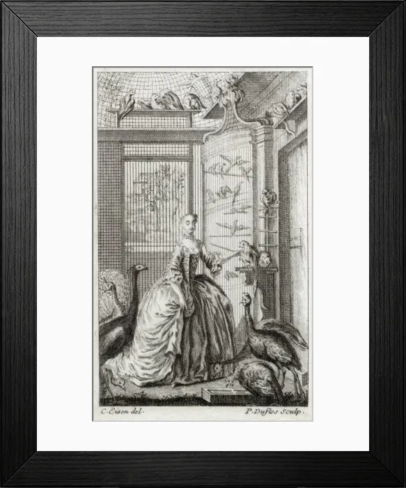 Framed Print : A French noblewoman among her feathered friends Date: early 18th century Framed Print : A French noblewoman among her feathered friends Date: early 18th century