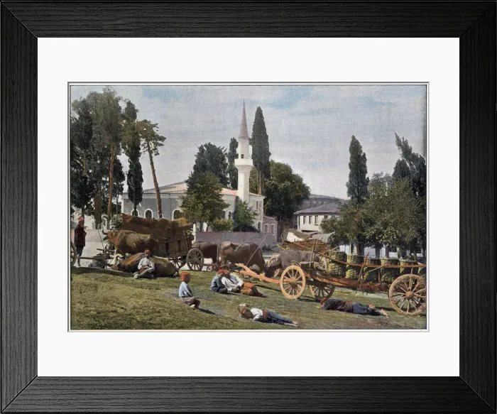 Framed Print : The drivers of these Turkish ox-carts have stopped to give their animals a rest Framed Print : The drivers of these Turkish ox-carts have stopped to give their animals a rest