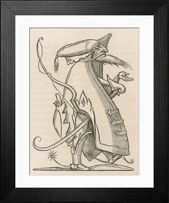 Framed Print : The noble figure of Francois I, King of France, sporting a long beard & moustache Framed Print : The noble figure of Francois I, King of France, sporting a long beard & moustache