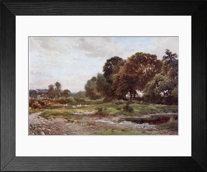 Framed Print : SURREY : The pond on the common at Esher, with some geese. Date: 1906