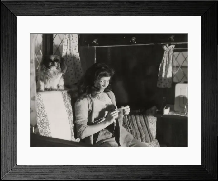 Framed Print : A mischievous-looking girl, caught on camera knitting in an armchair in her cottage Framed Print : A mischievous-looking girl, caught on camera knitting in an armchair in her cottage