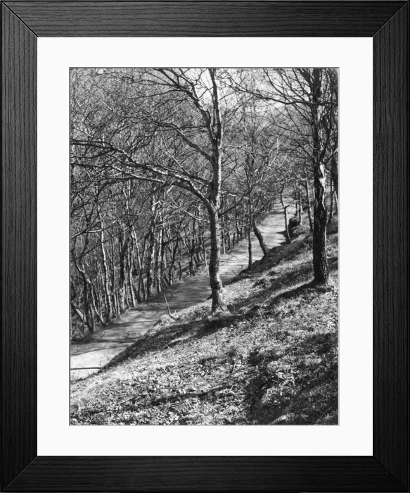 Framed Print : A charming path through the woods, known as Artists Valley, Cwm Einion, Furnace Framed Print : A charming path through the woods, known as Artists Valley, Cwm Einion, Furnace
