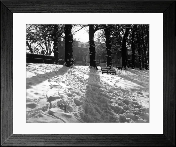 Framed Print : A winter scene on Hampstead Heath, London, with the sun shining on tracks in the snow Framed Print : A winter scene on Hampstead Heath, London, with the sun shining on tracks in the snow