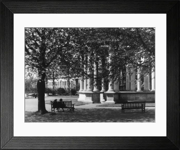 Framed Print : Spring sunshine in Cathays Park, showing people relaxing on benches, Cardiff Framed Print : Spring sunshine in Cathays Park, showing people relaxing on benches, Cardiff