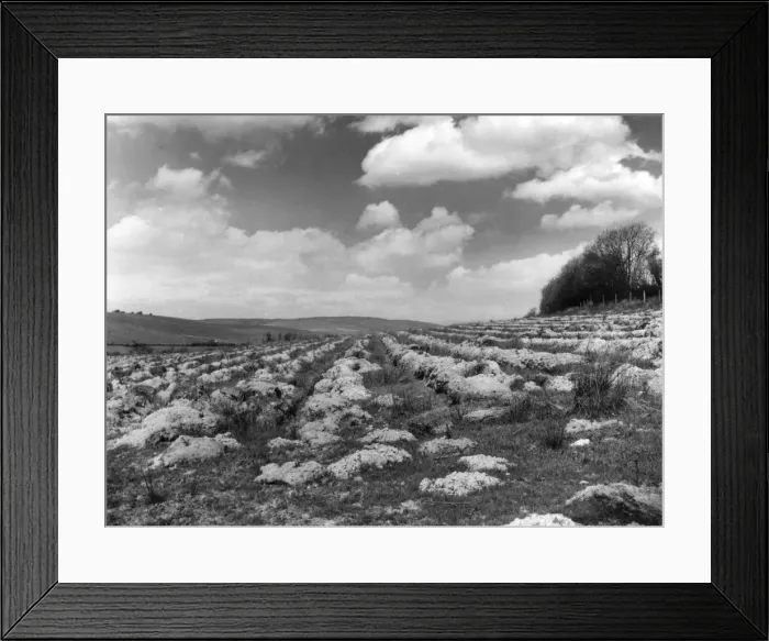 Framed Print : The preliminary ploughing of fallow land, prior to afforestation, at St Framed Print : The preliminary ploughing of fallow land, prior to afforestation, at St