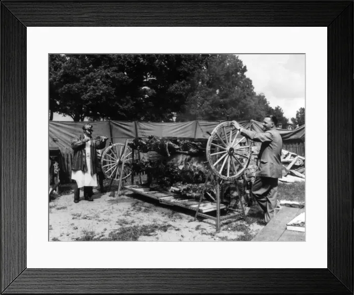 Framed Print : Deer and ox roasting is often part of a celebration or custom Framed Print : Deer and ox roasting is often part of a celebration or custom
