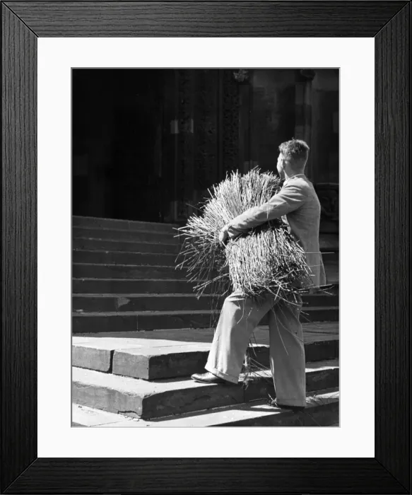 Framed Print : The Whit Sunday custom of strawing the floor of the Nave of the church with rushes Framed Print : The Whit Sunday custom of strawing the floor of the Nave of the church with rushes