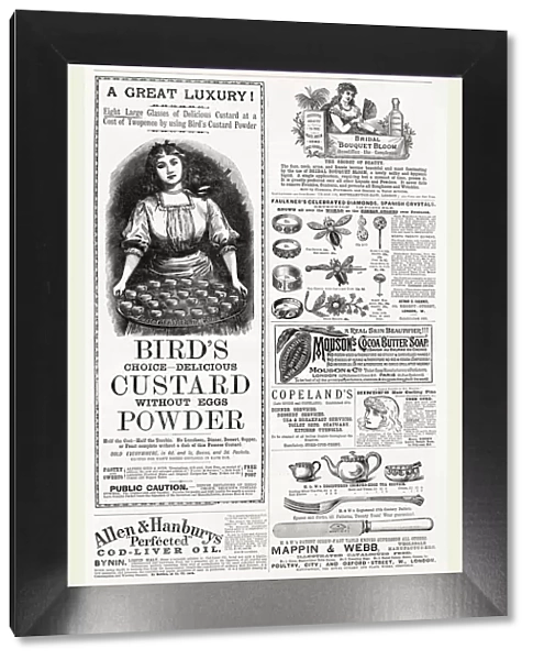 A variety of Advertisements from 1889. Date: 1886