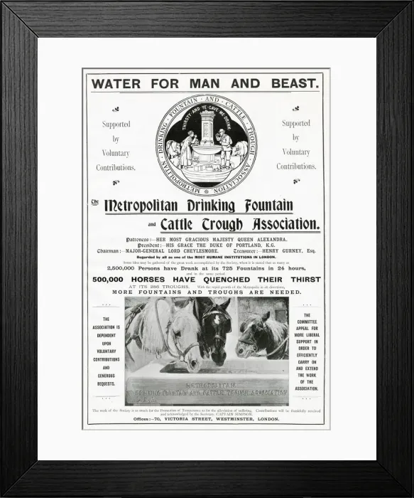 Framed Print : Metropolitan drinking Fountain and cattle trough association Framed Print : Metropolitan drinking Fountain and cattle trough association