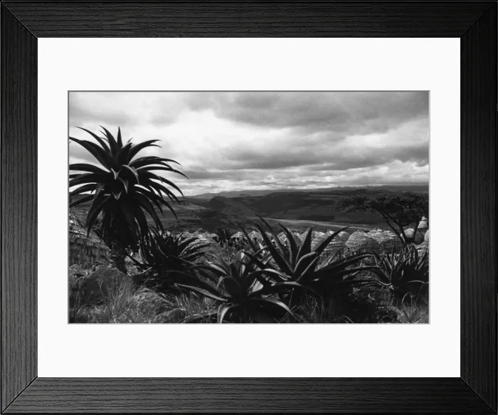 Framed Print : The Natal Province in eastern South Africa, showing its massive natural diversity