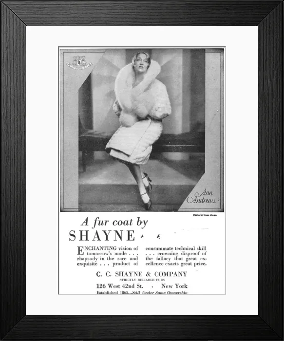 Framed Print : Advert for Shayne & co furriers, New York Date: 1929 Framed Print : Advert for Shayne & co furriers, New York Date: 1929