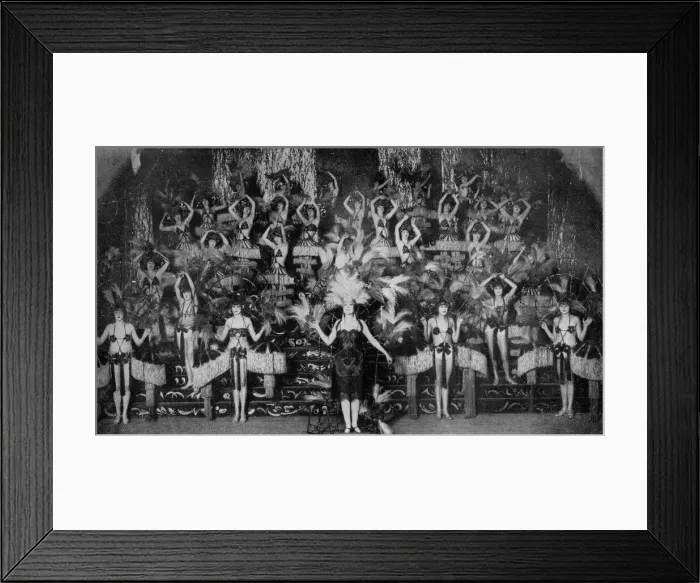 Framed Print : A feathery scene The World of Herons in James Klein