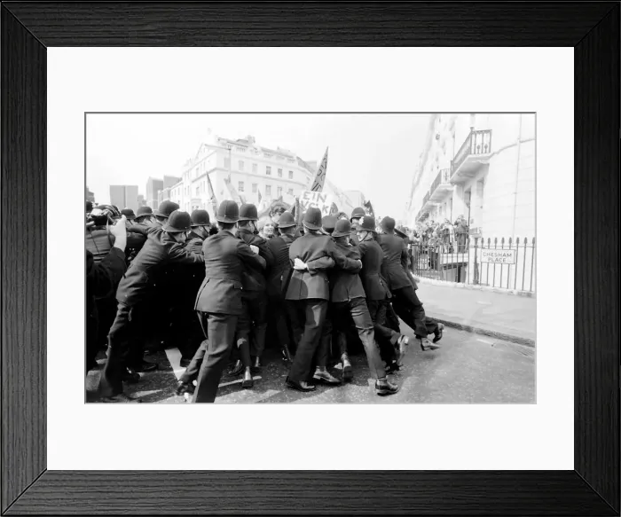 Framed Print : Demonstration in Chesham Place, Belgravia, London, with a struggle between protesters Framed Print : Demonstration in Chesham Place, Belgravia, London, with a struggle between protesters