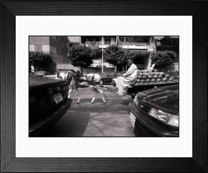 Framed Print : Melon seller with donkey Cairo, Egypt. Date: 1980s Framed Print : Melon seller with donkey Cairo, Egypt. Date: 1980s