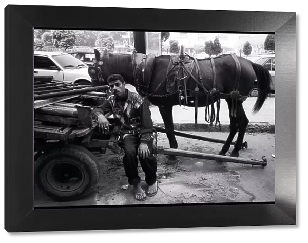 Street worker and horse Cairo, Egypt. Date: 1980s