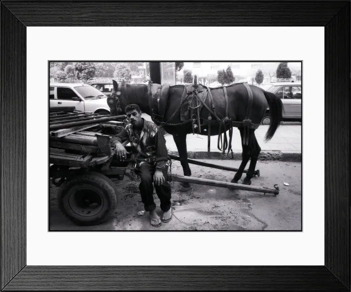 Framed Print : Street worker and horse Cairo, Egypt. Date: 1980s Framed Print : Street worker and horse Cairo, Egypt. Date: 1980s