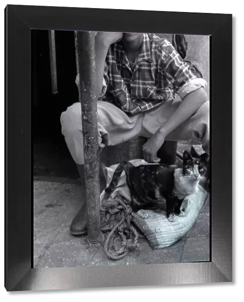 Egypt - young man with cat. Date