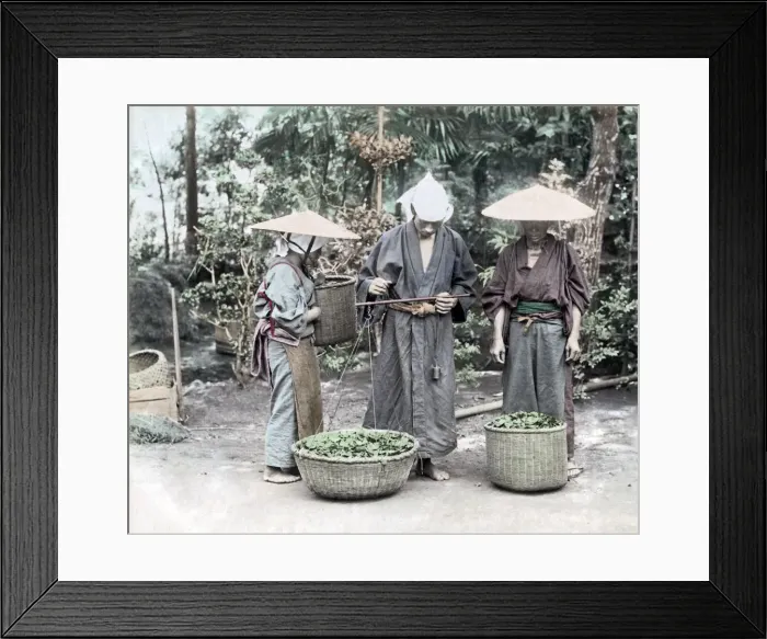 Framed Print : Group of farm workers, Japan circa 1880s. Date: circa 1880s Framed Print : Group of farm workers, Japan circa 1880s. Date: circa 1880s