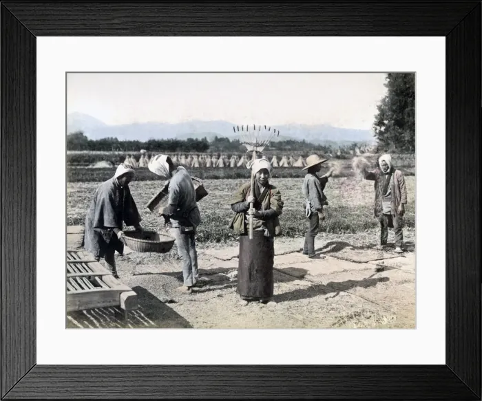 Framed Print : Farmers in the fields, Japan, circa 1880s. Date: circa 1880s Framed Print : Farmers in the fields, Japan, circa 1880s. Date: circa 1880s