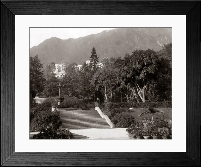 Framed Print : Public Gardens, Hong Kong, circa 1870s. Date: circa 1870s