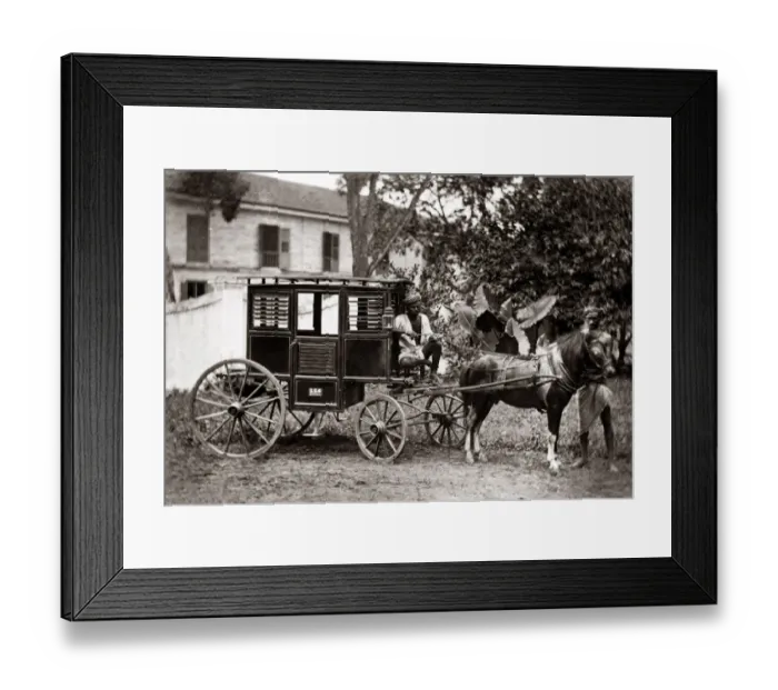 Framed Print : Pony carriage, India, circa 1880s. Date: circa 1880s Framed Print : Pony carriage, India, circa 1880s. Date: circa 1880s