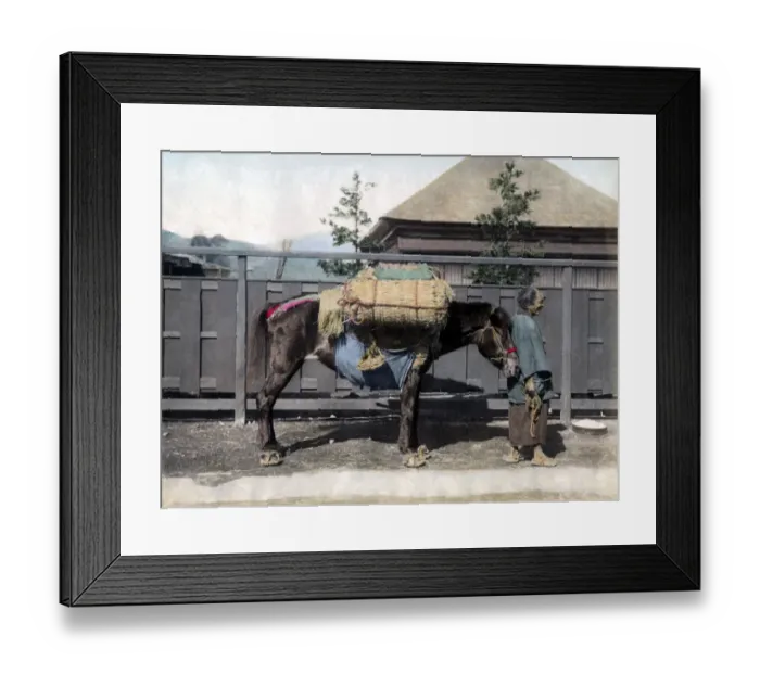 Framed Print : Pack horse, Japan, circa 1880s. Date: circa 1880s Framed Print : Pack horse, Japan, circa 1880s. Date: circa 1880s