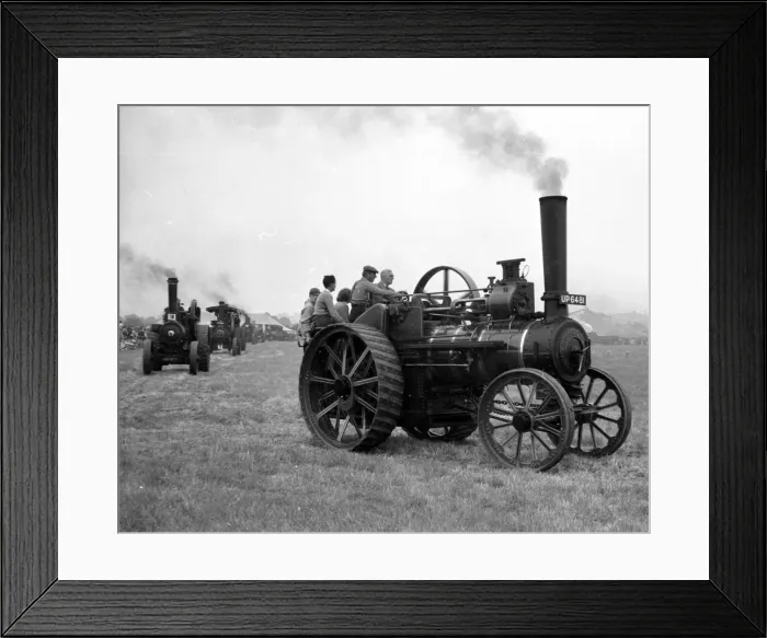 Framed Print : Foster General Purpose Engine Sprig UP 6481