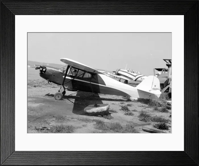Framed Print : Taylocraft DCO-65 N46050 Framed Print : Taylocraft DCO-65 N46050