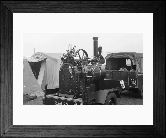 Framed Print : Savage CE 607, Granny