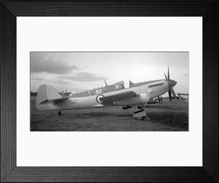 Framed Print : Fleet Air Arm - Fairey Firefly FR. 4 VT487 Framed Print : Fleet Air Arm - Fairey Firefly FR. 4 VT487