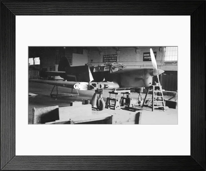 Framed Print : Percival Gull Framed Print : Percival Gull