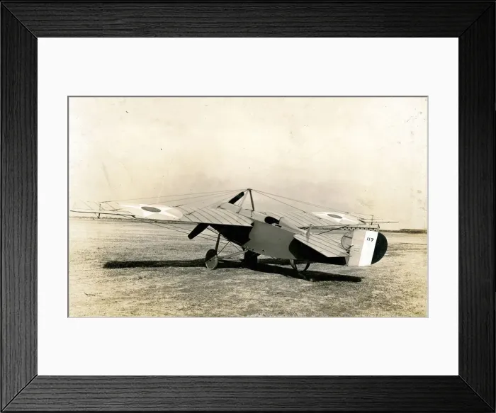 Framed Print : Pigeon Scout Framed Print : Pigeon Scout