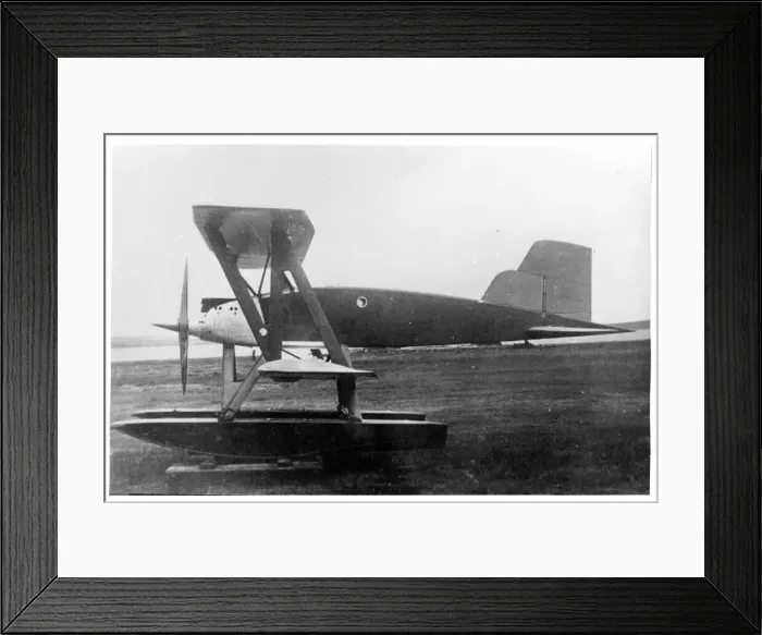 Framed Print : Caspar C. 29 Framed Print : Caspar C. 29