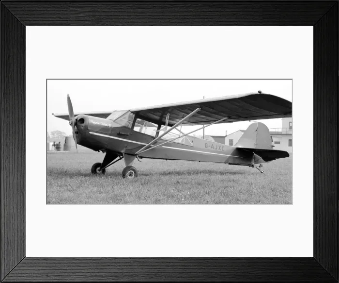 Framed Print : Auster 5 G-AJXC Framed Print : Auster 5 G-AJXC